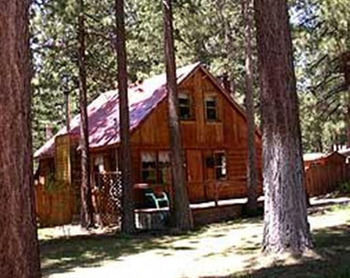 2921 Freel Peak Leilighet South Lake Tahoe Eksteriør bilde